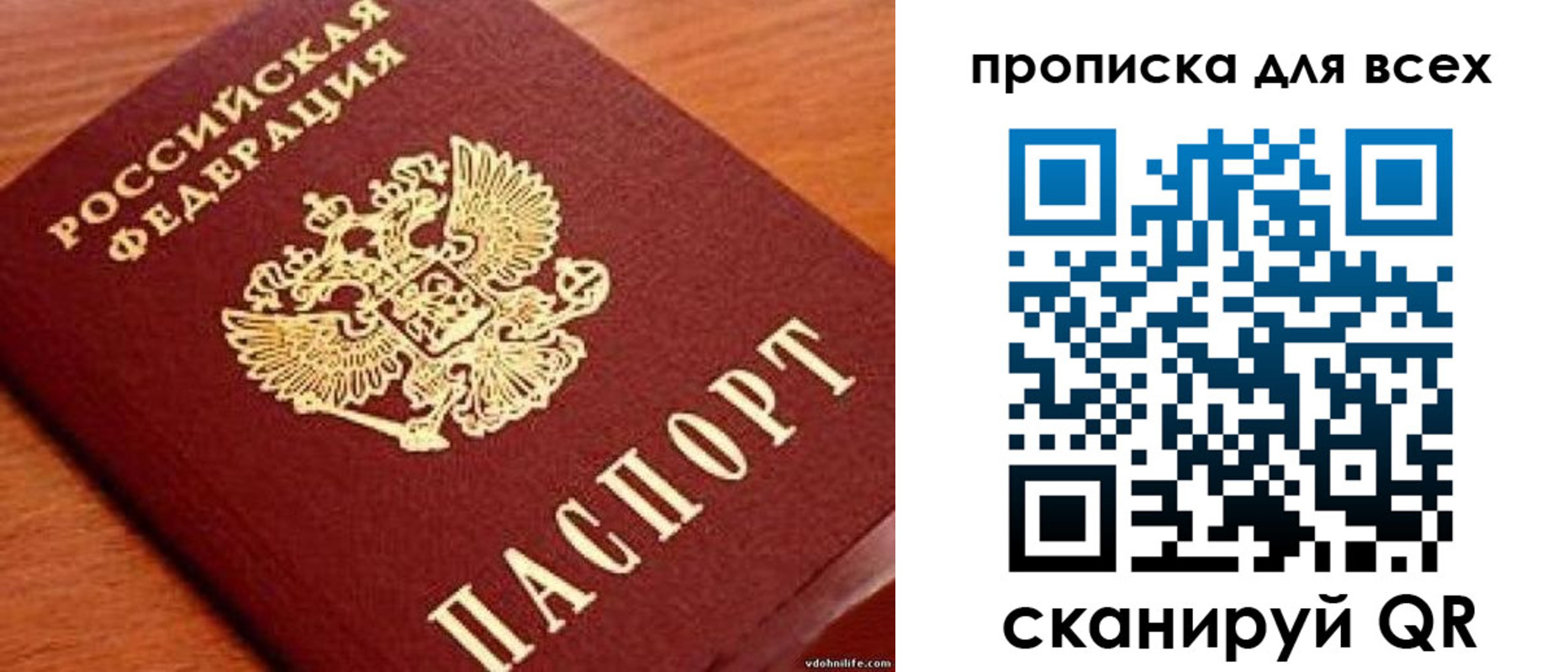 где прописаться в Покрове